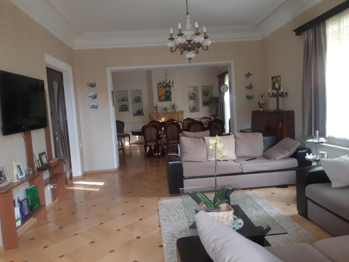 Neli & Zaal Guest House Telavi Bagian luar foto