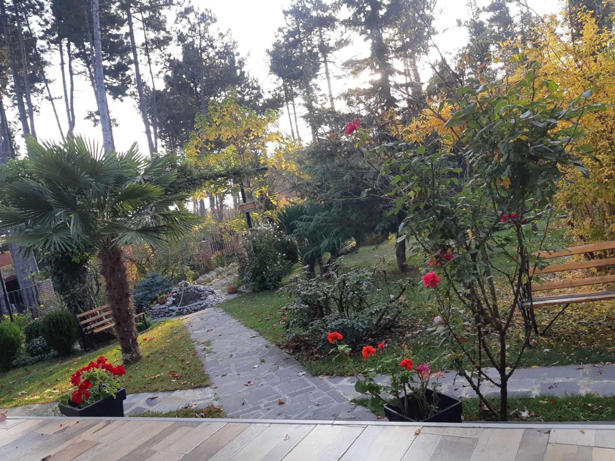 Neli & Zaal Guest House Telavi Bagian luar foto